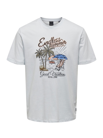 Only & Sons T-shirt ONSALBERTO REG SUMMER SS TEE 22026084 PLEIN AIR