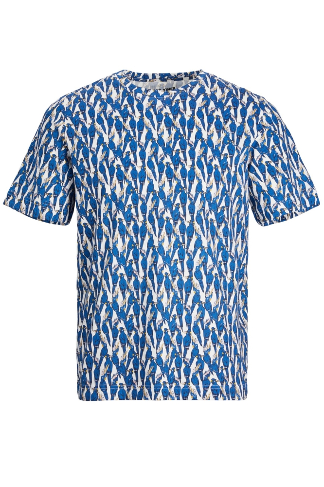 JORPALMA CONVERSATIONAL AOP TEE SS 12234278 CLOUD DANCER/ BIRDS