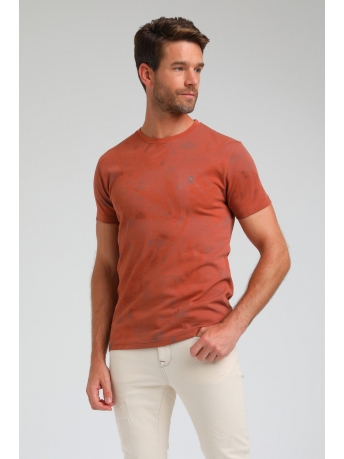 Gabbiano T-shirt SHIRT MET PRINT 153530 425 TERRA