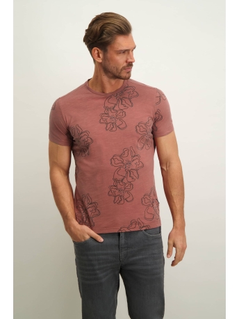 BlueFields T-shirt JERSEY T SHIRT MET PRINT EN RONDE HALS 36433013 4500