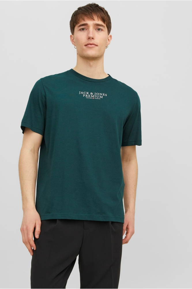 JPRBLUARCHIE SS TEE CREW NECK NOOS 12217167 PONDEROSA PINE