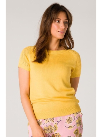 Ivy Beau Trui WENSLEY 4000890  4049 SUMMER GOLD