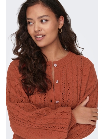 Jacqueline de Yong Vest JDYSIGRID LIFE L/S CABLE CARDIGAN KNT 15300331 BURNT BRICK
