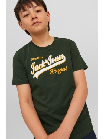 Jack & Jones Junior T-shirt JJELOGO TEE SS NECK 2 COL 23/24 NOO 12237367 MOUNTAIN VIEW