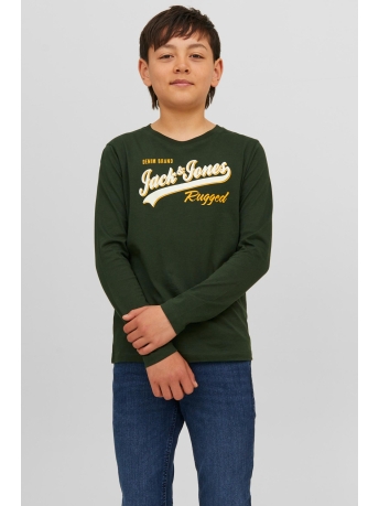 Jack & Jones Junior T-shirt JJELOGO TEE LS NECK 2 COL 23/24 NOO 12237371 MOUNTAIN VIEW