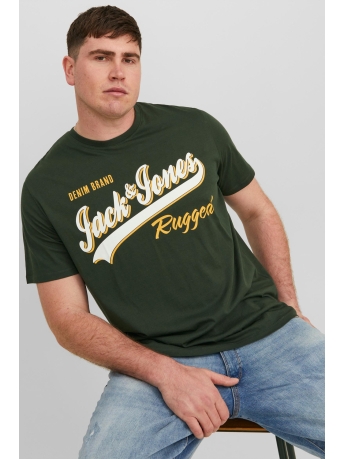 Jack & Jones T-shirt JJELOGO TEE SS O-NECK 2 COL 23/24 P 12243611 Mountain View