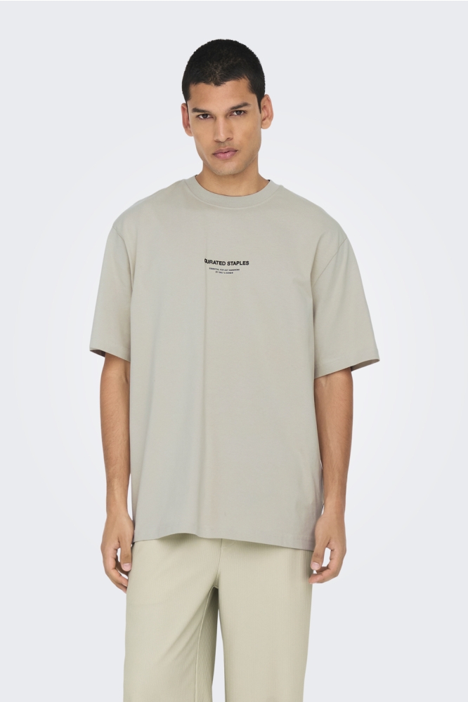 ONSCURATED RLX PRINT SS TEE 22030925 SILVER LINING
