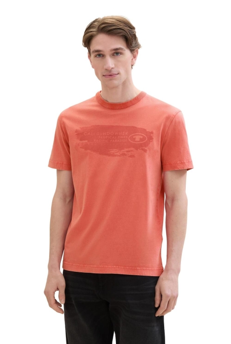 Tom Tailor washed t-shirt with print