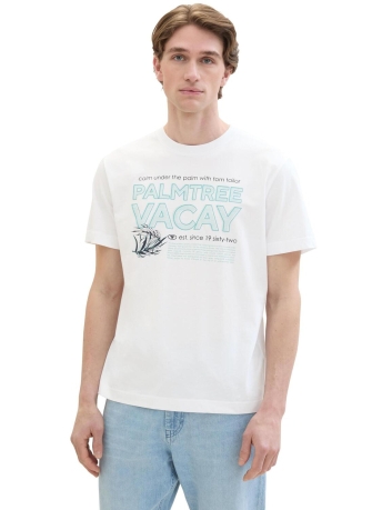 Tom Tailor T-shirt T SHIRT MET PRINT 1041817XX10 20000