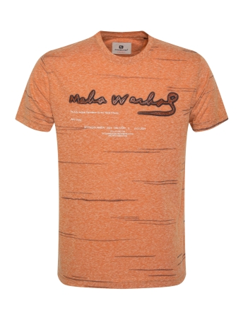 Gabbiano T-shirt T SHIRT MET PRINT 14016 410 Copper
