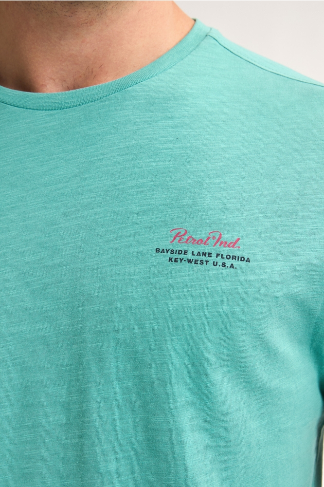 T SHIRT MET PRINT OP DE RUG M 1050 TSR647 6169 AQUA GREEN