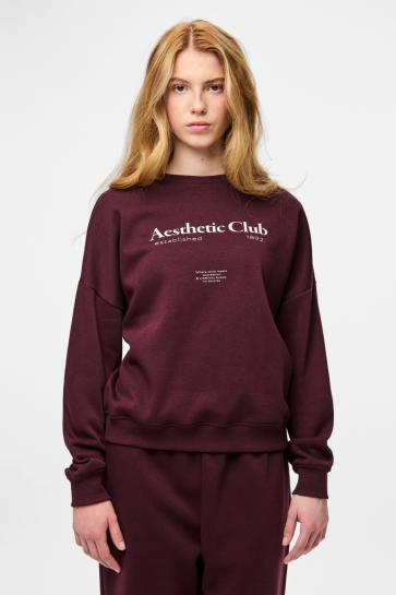 Pieces Trui PCRISSO LS O-NECK LOOSE SWEAT PWP B 17162357 Winetasting/Aesthetic