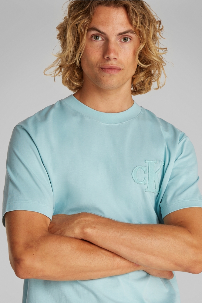 Calvin Klein blauwe heren t-shirt | Close up
