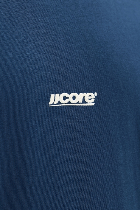 Jack & Jones blauwe heren t-shirt | Kleurstaal