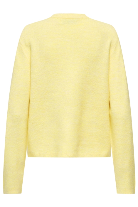 Only gele dames vest |