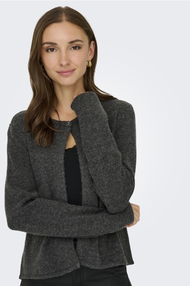 Jacqueline de Yong grijze dames vest | Model