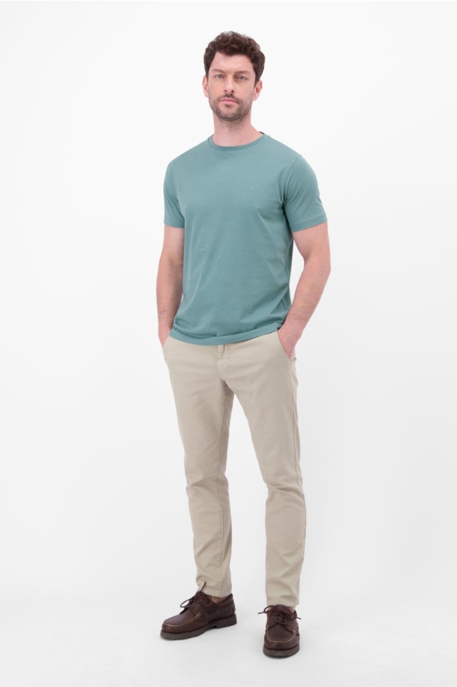 Lerros groene heren t-shirt | Model