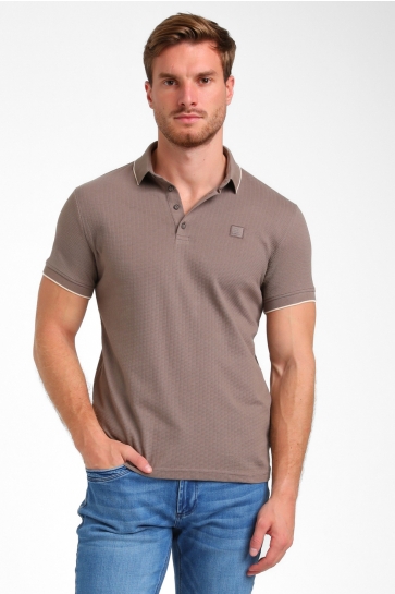 Polo`s