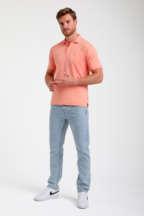 Gabbiano 235531