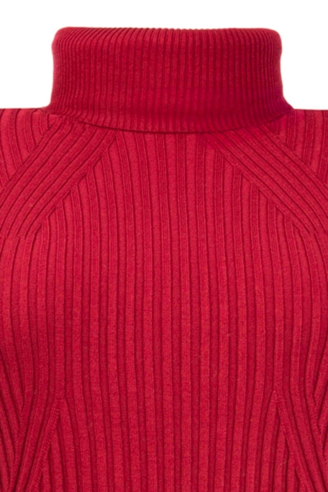 NED rode dames t-shirt | Close up