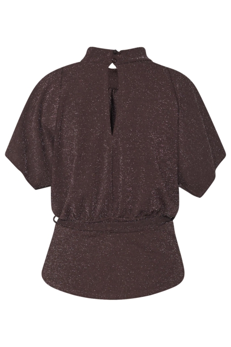 SisterS point bruine dames t-shirt | Achteraanzicht