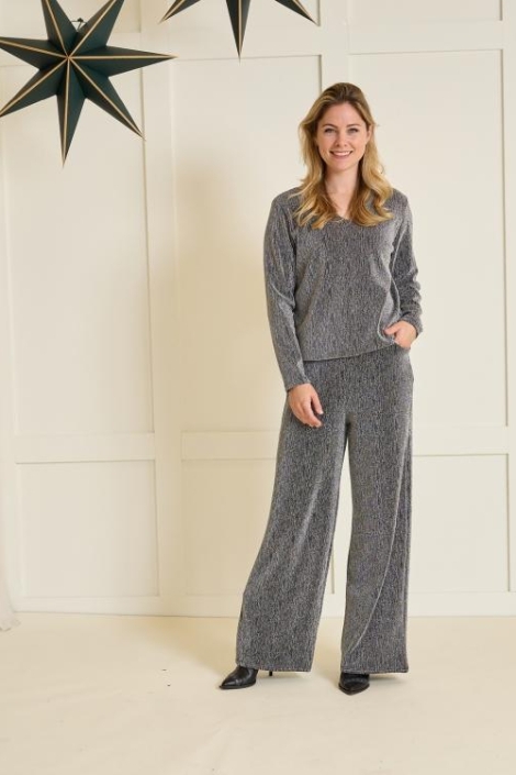 FOS Amsterdam zilveren dames t-shirt | Model