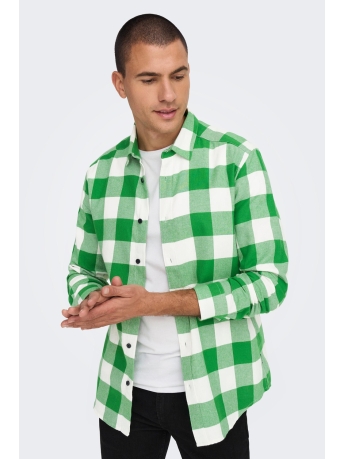 Only & Sons Overhemd ONSGUDMUND LS CHECKED SHIRT NOOS 22007112 MEDIUM GREEN