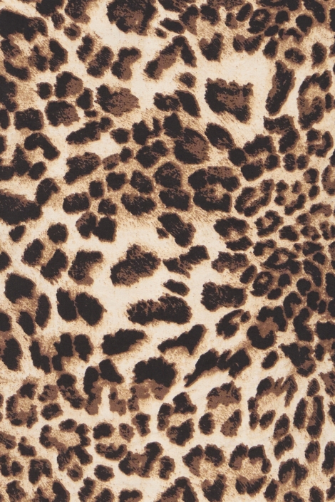 Ichi bruine dames top | Close up