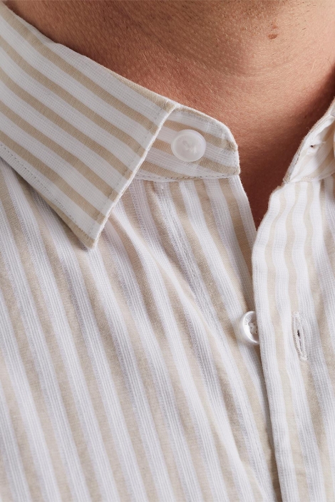 Vanguard long sleeve shirt yd stripe with d