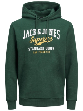 Jack & Jones Trui JJELOGO SWEAT HOOD 2 COL 22/23 NOOS 12210824 PINE GROVE