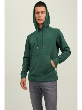 Jack & Jones Trui JJEBASIC SWEAT HOOD NOOS 12182537 Pine Grove/REG