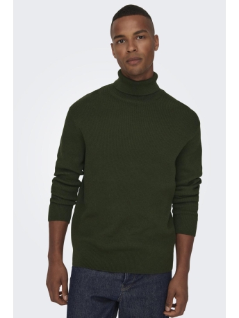 Only & Sons Trui ONSPHIL REG 12 STRUC ROLL NECK KNIT 22023202 ROSIN