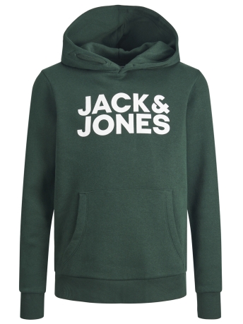 Jack & Jones Junior Trui JJECORP LOGO SWEAT HOOD NOOS JNR 12152841 Pine Grove