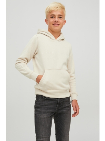 Jack & Jones Junior Trui JORCOPENHAGEN SWEAT HOOD NOOS JNR 12214983 Moonbeam