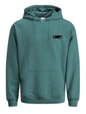 Jack & Jones Trui JCOSTRUCTURE SWEAT HOOD NL 12236674 TRELLIS