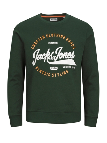 Jack & Jones Trui JJMIKK SWEAT CREW NECK 12236177 MOUNTAIN VIEW
