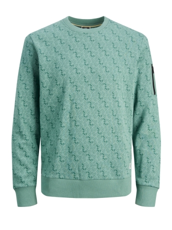 Jack & Jones Trui JCOLOGAN AOP SWEAT CREW NECK SS23 12236688 TRELLIS