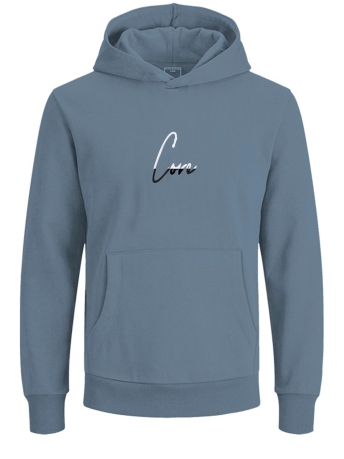 Jack & Jones Trui JCOTULIP SWEAT HOOD NL 12236684 MOUNTAIN SPRING