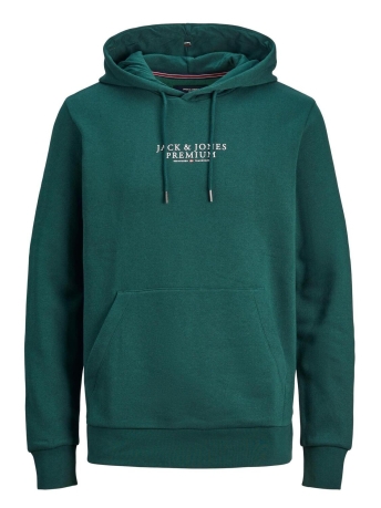 Jack & Jones Trui JPRBLUARCHIE SWEAT HOOD NOOS 12216335 Panderosa Pine