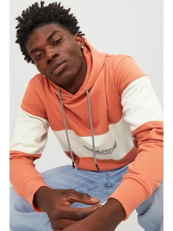Jack & Jones Trui JORLAKEWOOD SWEAT HOOD BF LN 12246802 Ginger/BLOCKING