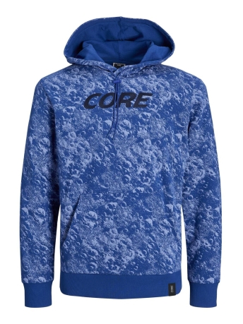Jack & Jones Trui JCOAOP LUNER SWEAT HOOD SMU 12252388 Limoges