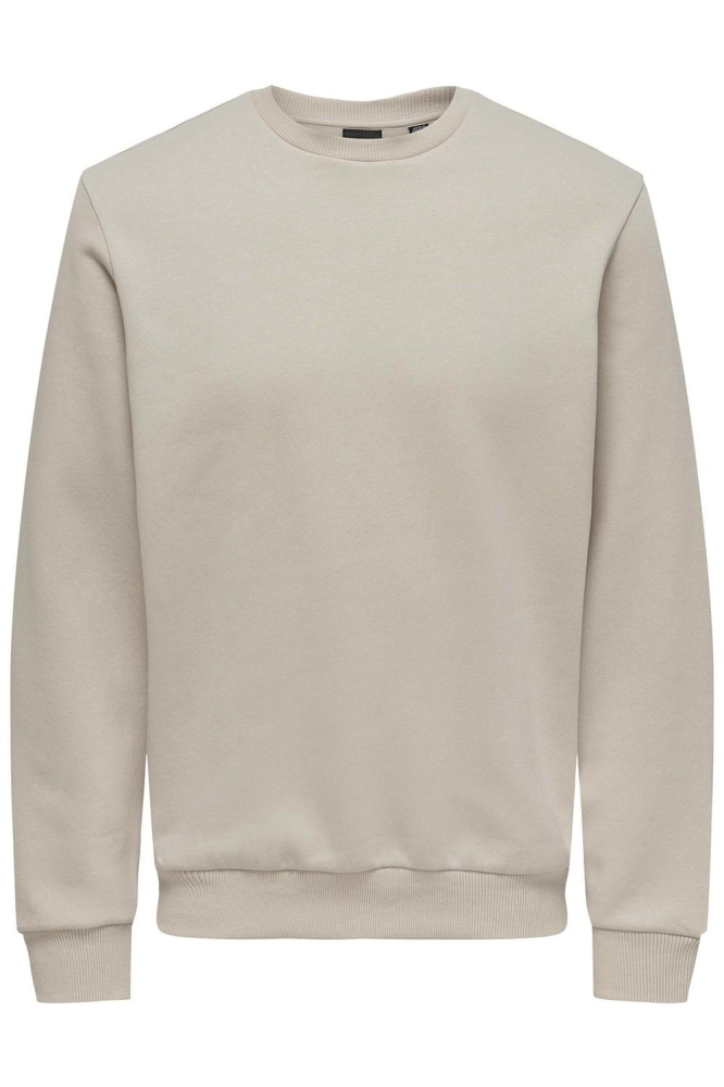 ONSCERES CREW NECK NOOS 22018683 Silver Lining