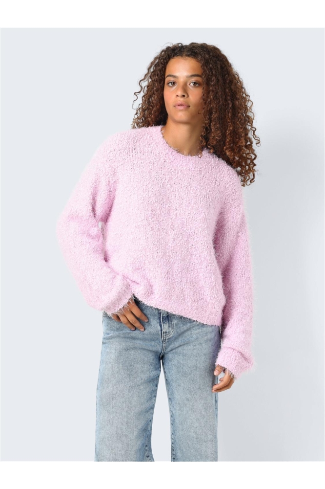 NMSASSY L/S O-NECK KNIT 27029424 PIROUETTE