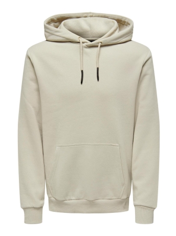 Only & Sons Trui ONSCERES HOODIE SWEAT NOOS 22018685 Silver Lining