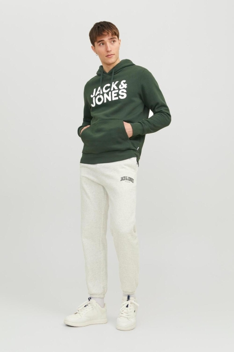 Jack & Jones groene heren sweater | Model