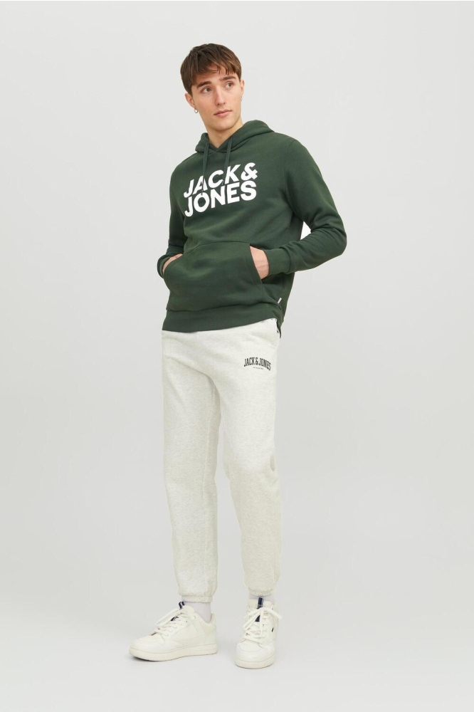 Jack & Jones groene heren sweater | Model
