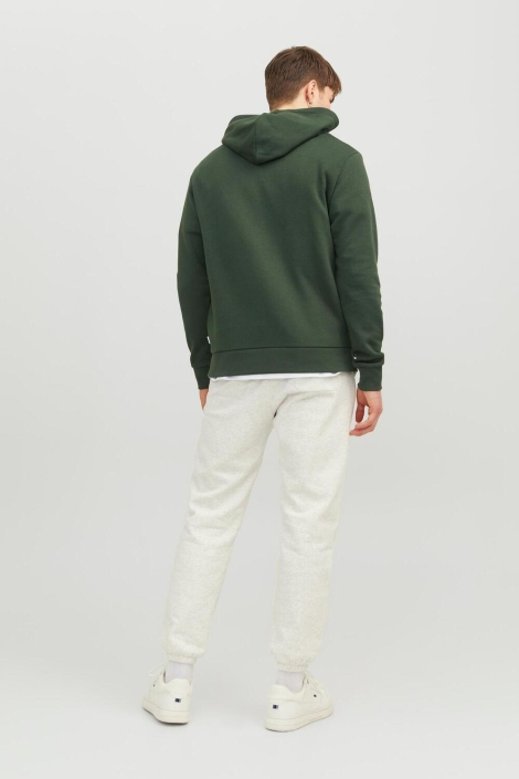 Jack & Jones groene heren sweater | Model