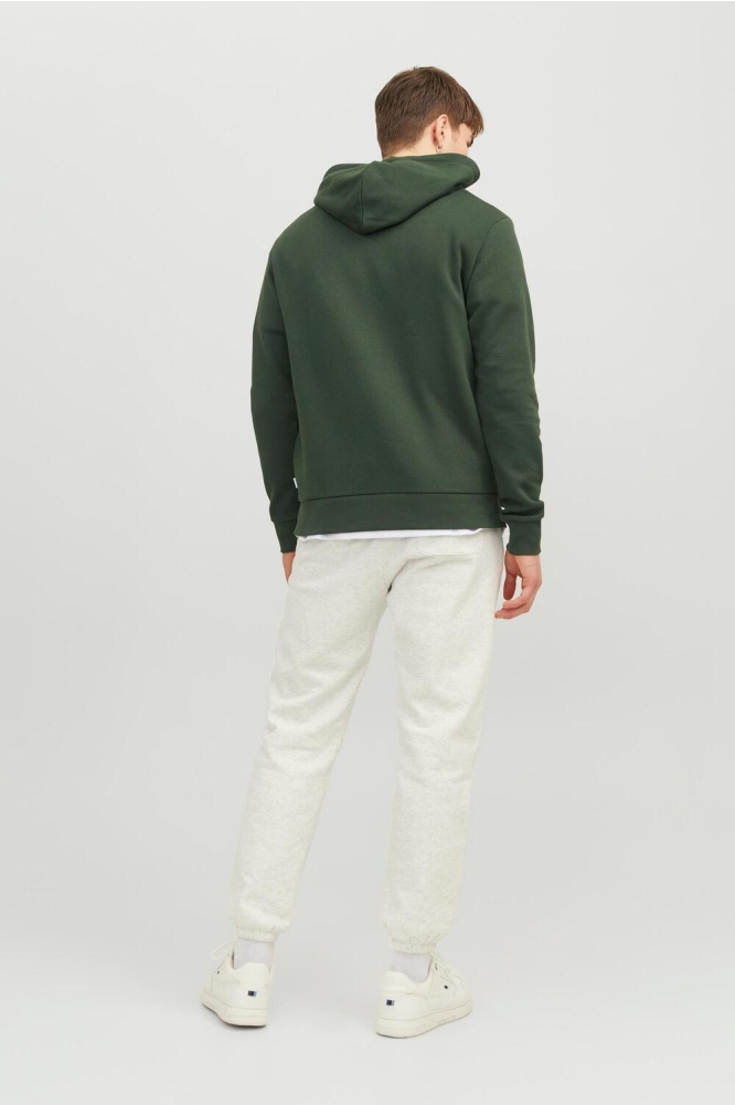 Jack & Jones groene heren sweater | Model