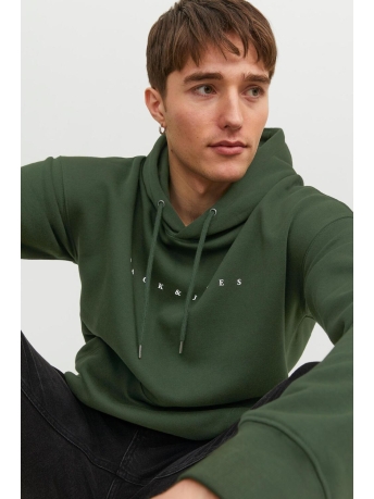 Jack & Jones Trui JJESTAR JJ SWEAT HOOD NOOS 12233972 Mountain View