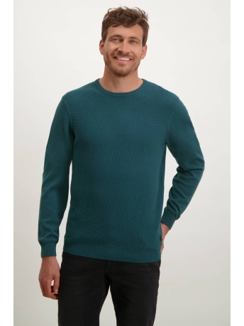 BlueFields Trui PULLOVER CREWNECK 11143031 5500